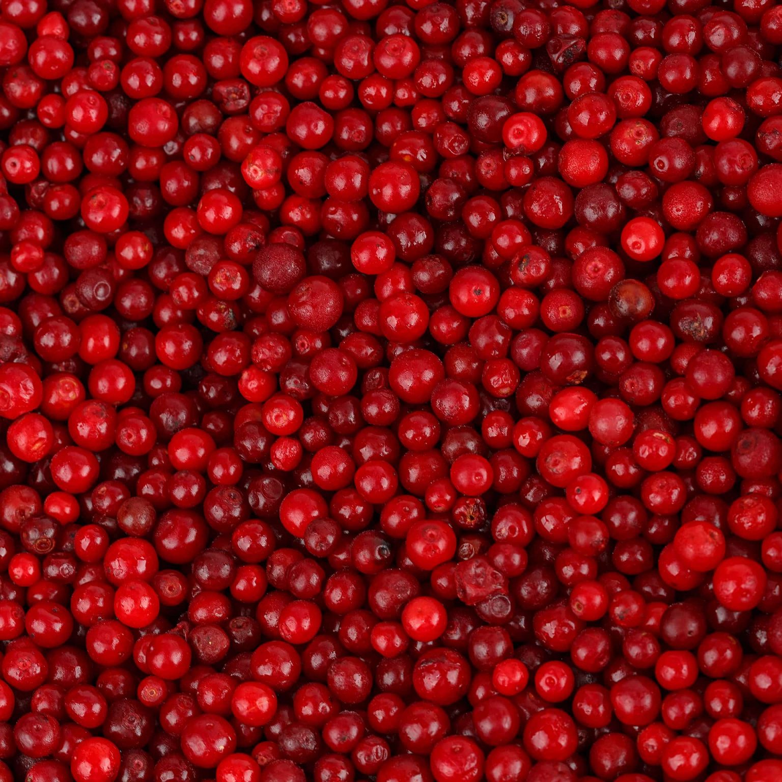 Замороженная брусника 10 кг, этикетка, купить оптом и в розницу с доставкой по москве и московской области, недорого, низкая цена