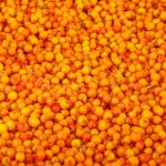 Замороженная облепиха 10 кг, этикетка, купить оптом и в розницу с доставкой по москве и московской области, недорого, низкая цена