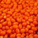 Замороженная облепиха садовая 10 кг, этикетка, купить оптом и в розницу с доставкой по москве и московской области, недорого, низкая цена