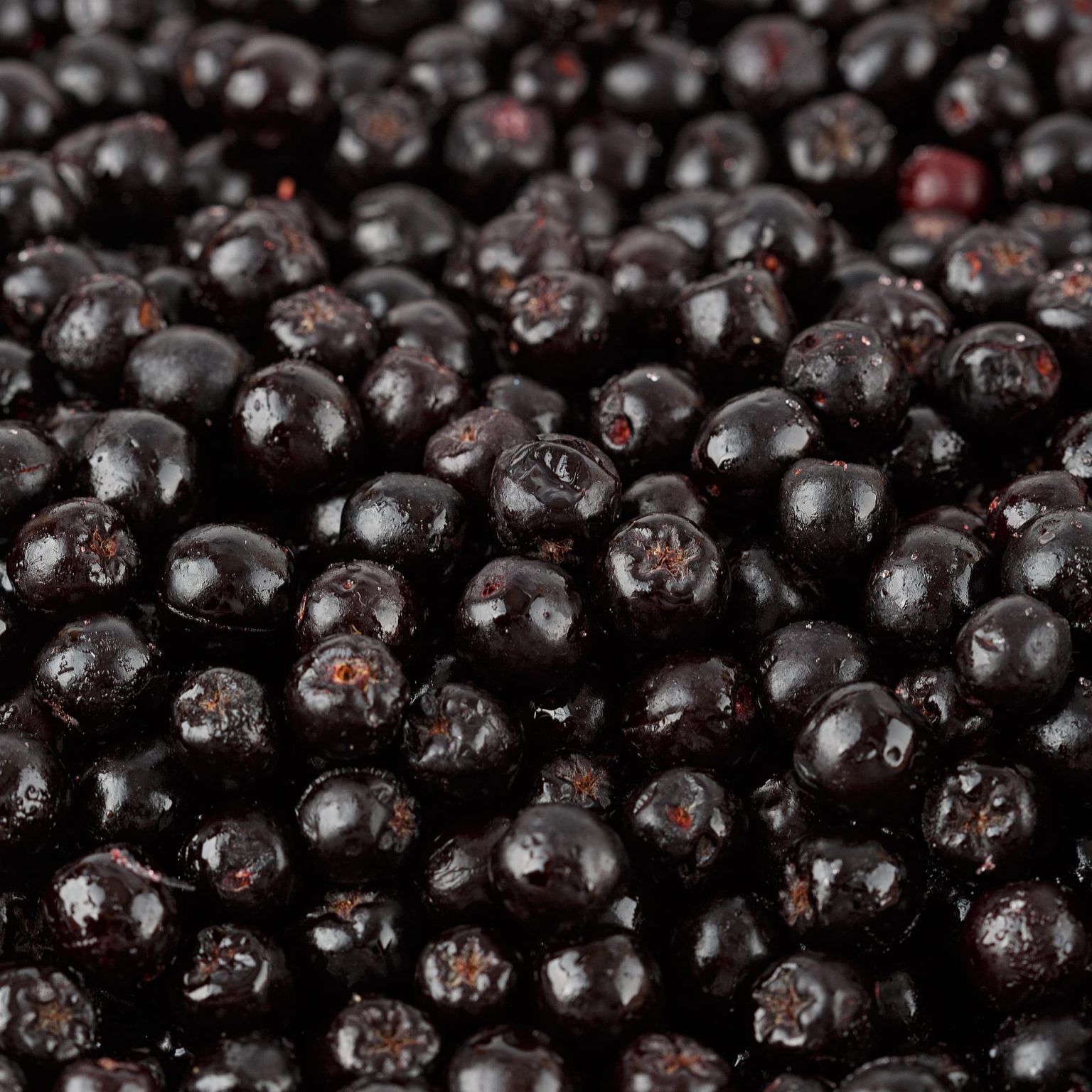 Замороженная черноплодная рябина 10 кг, этикетка, купить оптом и в розницу с доставкой по москве и московской области, недорого, низкая цена