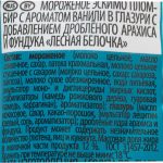 Мороженое пломбир ванильный глазированный шоколадом с арахисом и фундуком "Лесная белочка" эскимо Шин-Лайн 70 г, коробка, купить оптом и в розницу с доставкой по москве и московской области, недорого, низкая цена